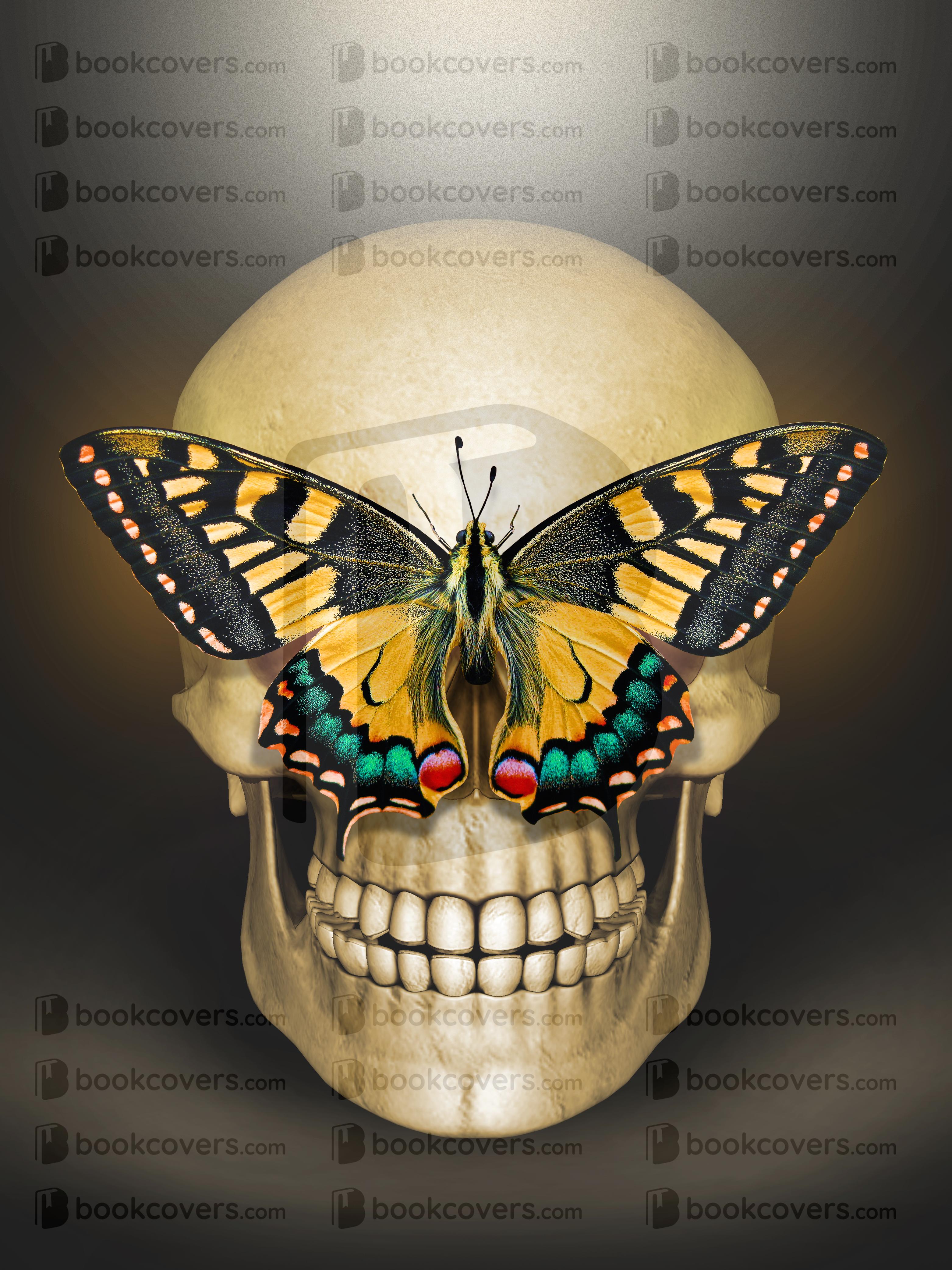 johnbellart_26191233