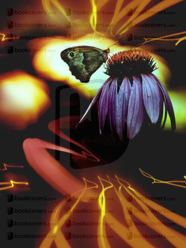 lalimadesign_26193603