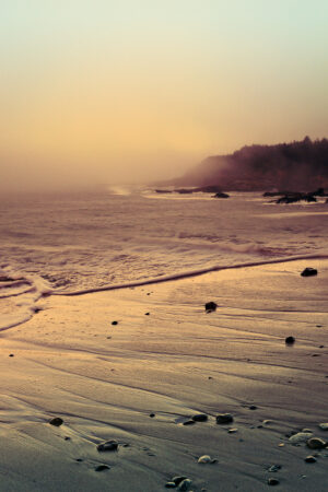 lalimadesign_26193771