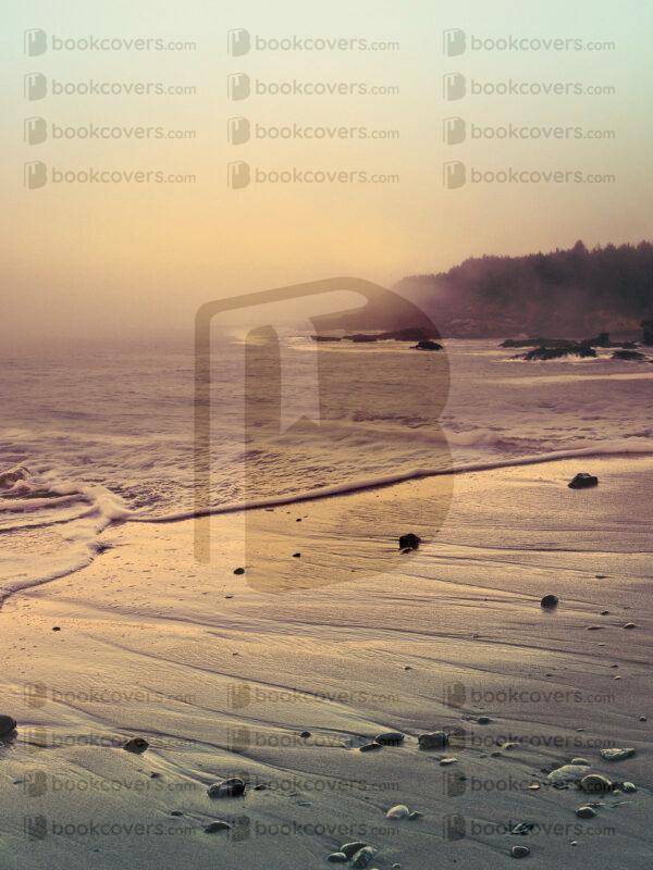 lalimadesign_26193771