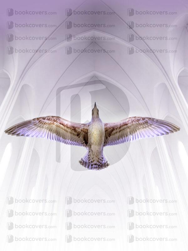 lalimadesign_26191905