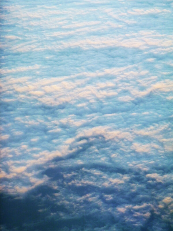 lalimadesign_26192313