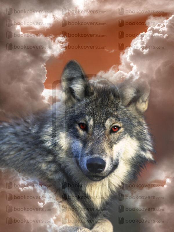 lalimadesign_26194550