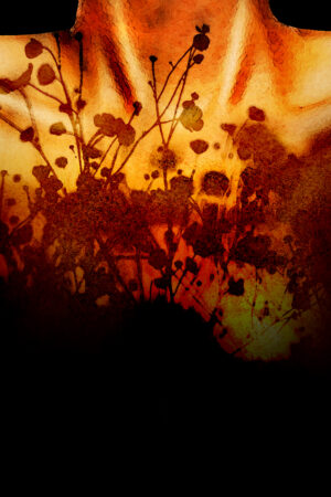 lalimadesign_26192851