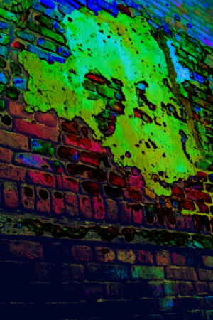 lalimadesign_26193184