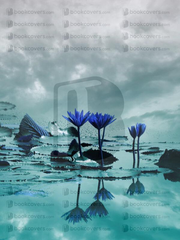 lalimadesign_26193346