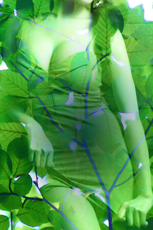 lalimadesign_26194004