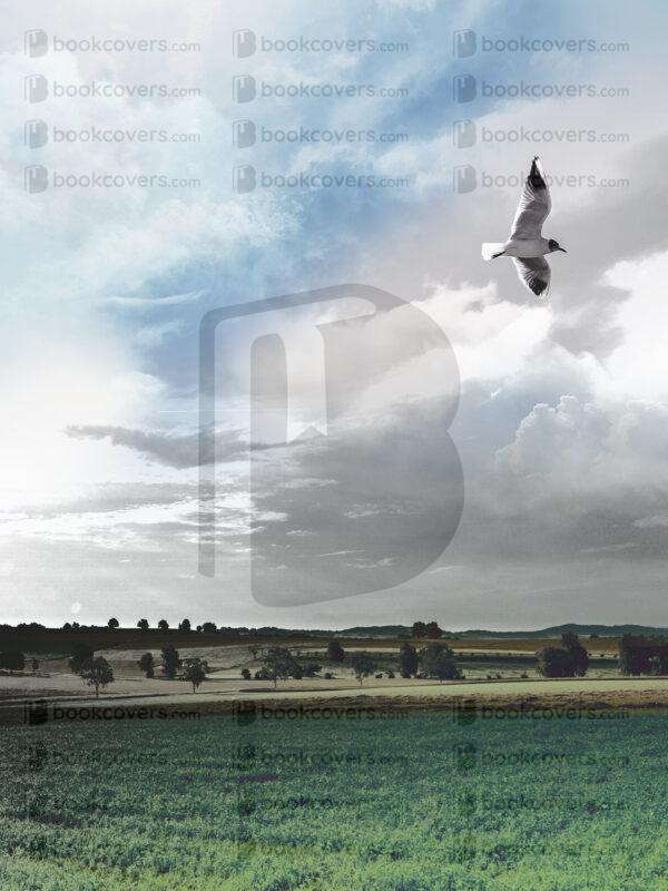 lalimadesign_26193031