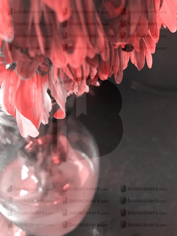 lalimadesign_26196029