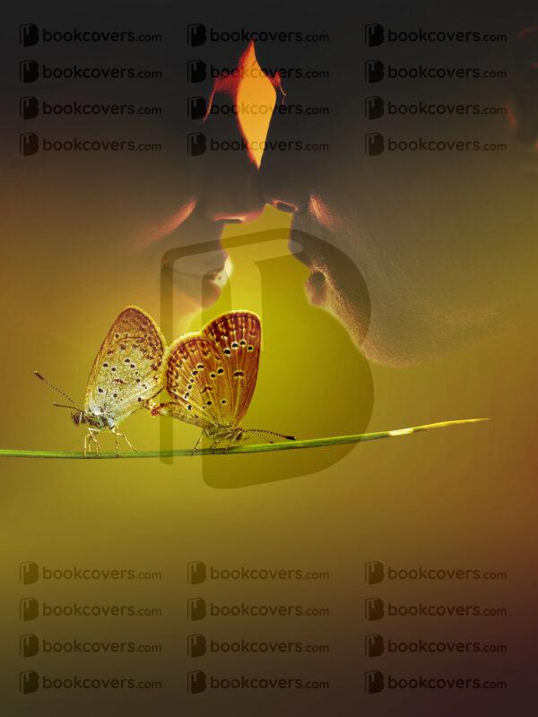 lalimadesign_26193436