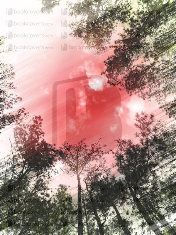 lalimadesign_26194008
