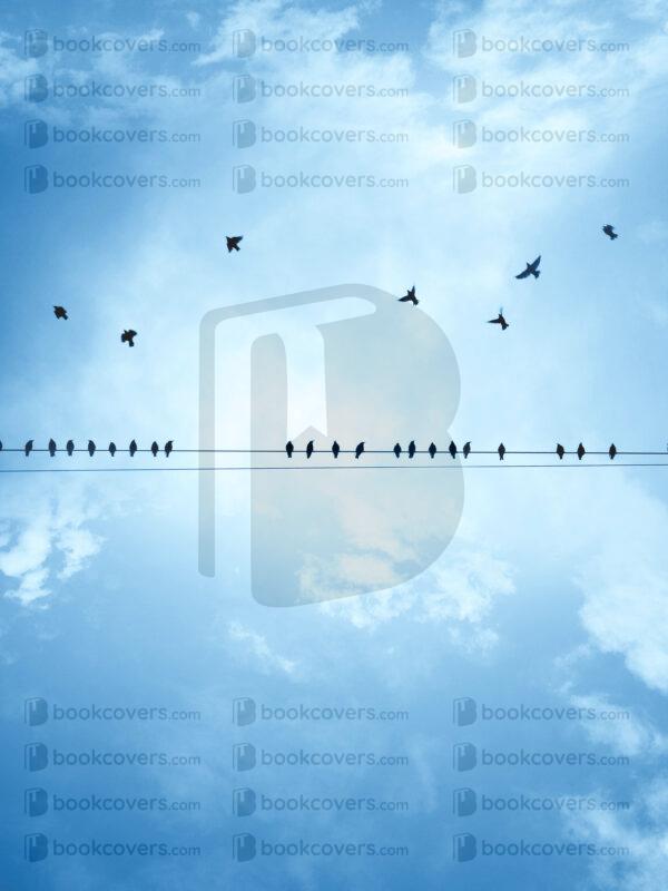 lalimadesign_26193742