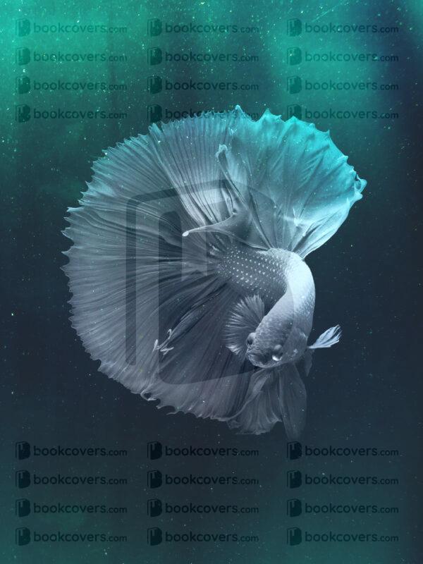 lalimadesign_26193799