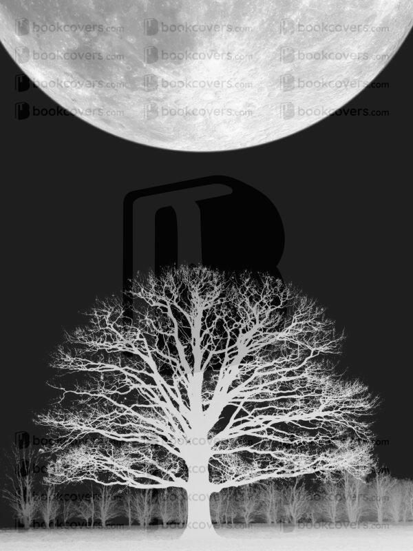 lalimadesign_26193662