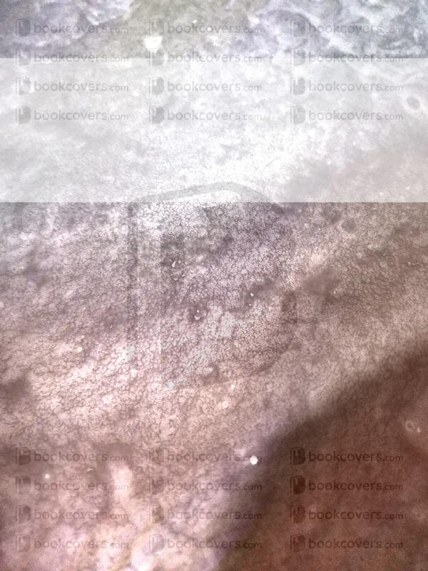 lalimadesign_26193877
