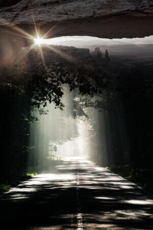 lalimadesign_26194323