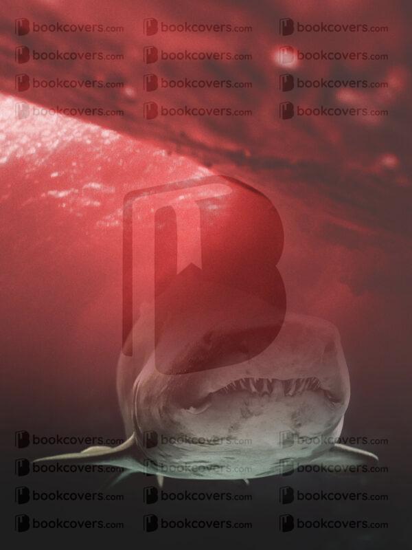 lalimadesign_26194356