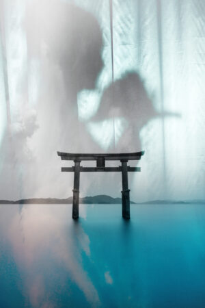 lalimadesign_26194454