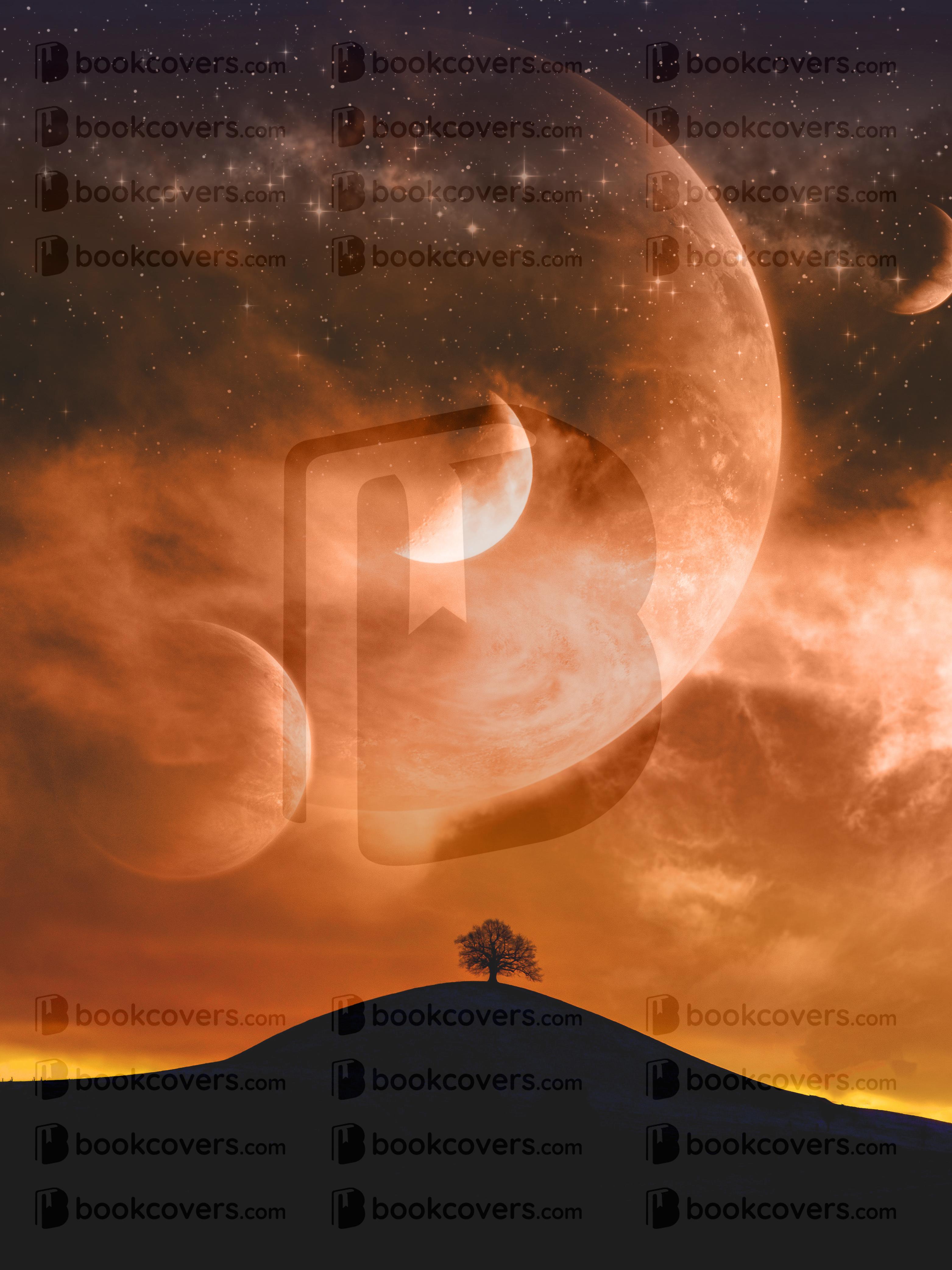 lalimadesign_26195117