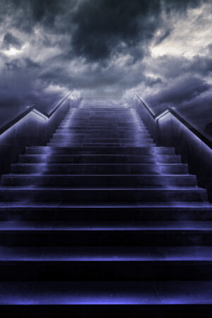lalimadesign_26194642