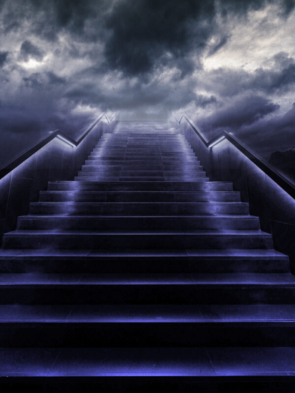 lalimadesign_26194642