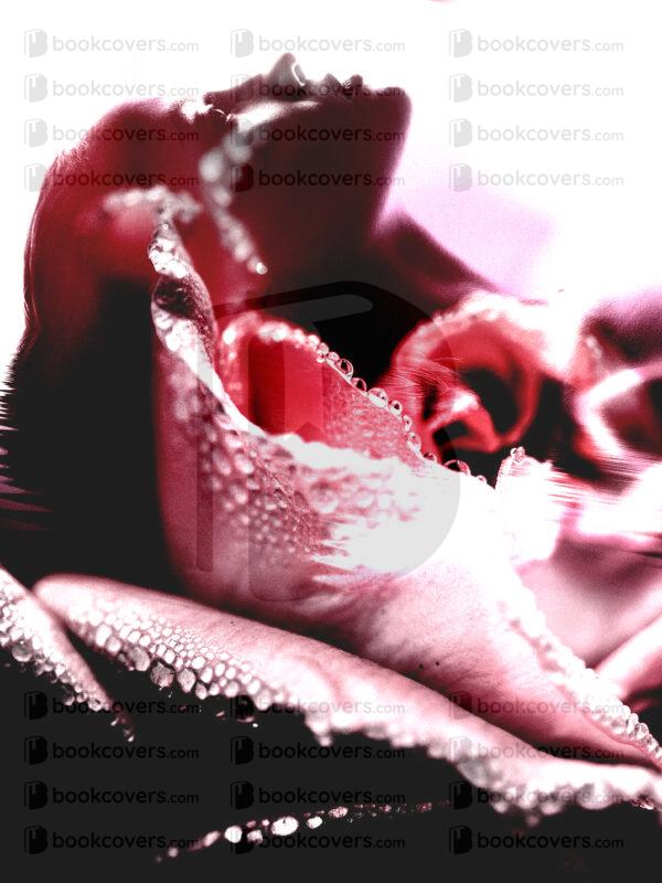 lalimadesign_26193458
