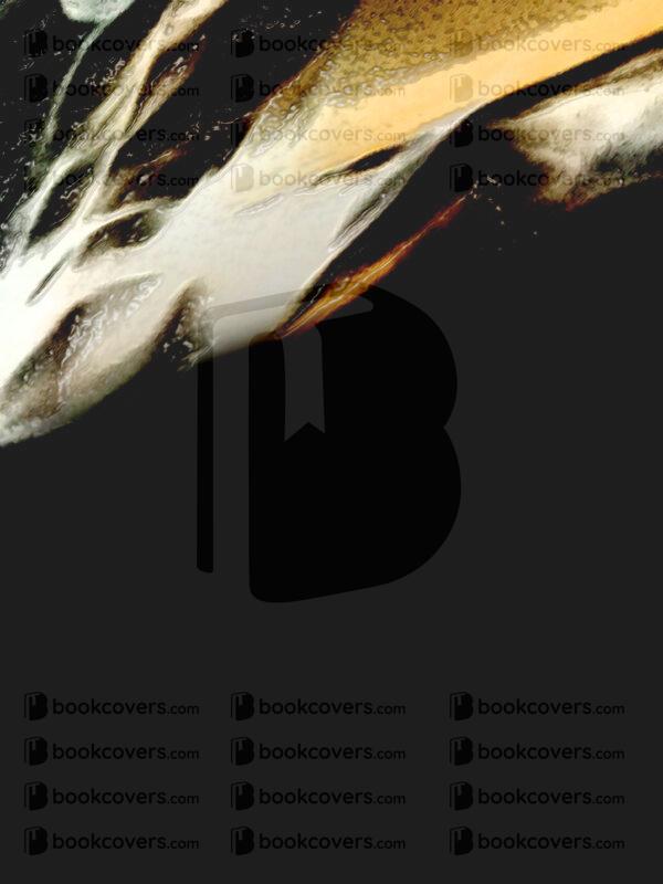 lalimadesign_26194228