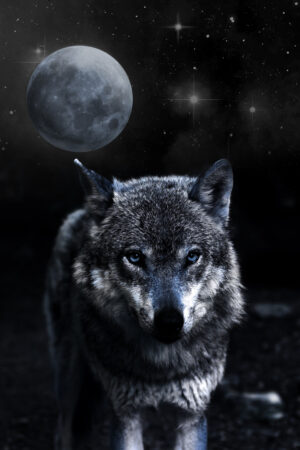 lalimadesign_26196267