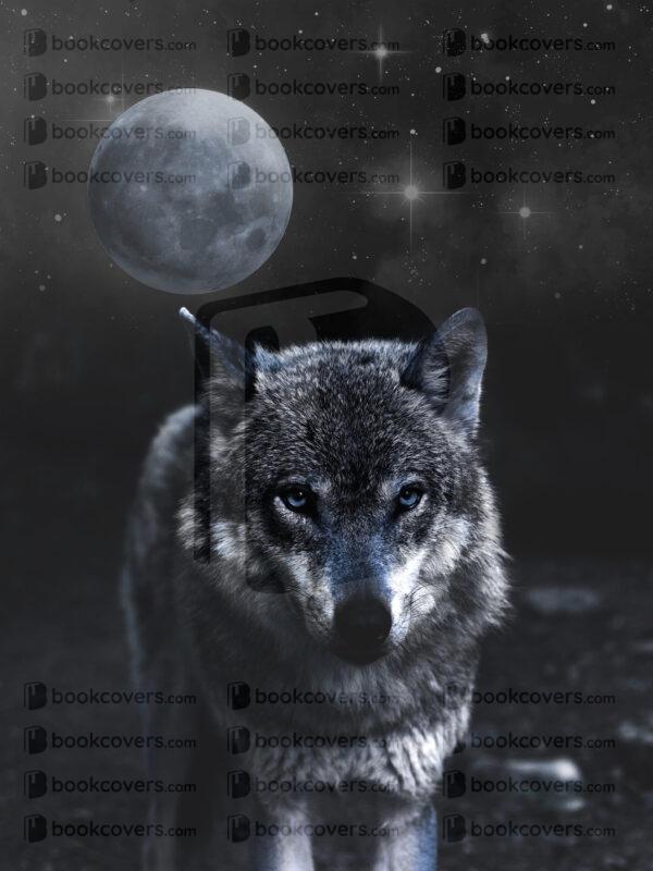 lalimadesign_26196267