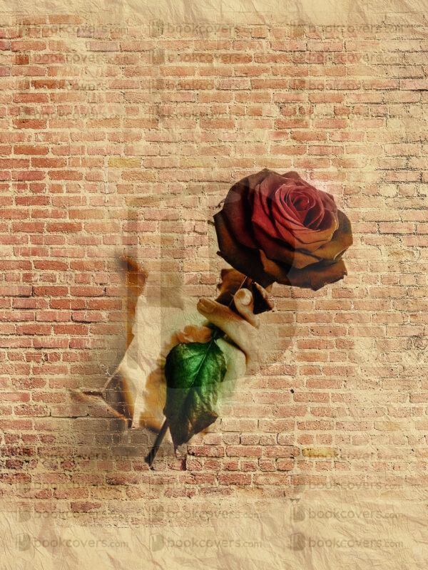 lalimadesign_26193934