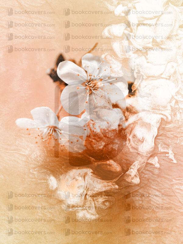 lalimadesign_26195419