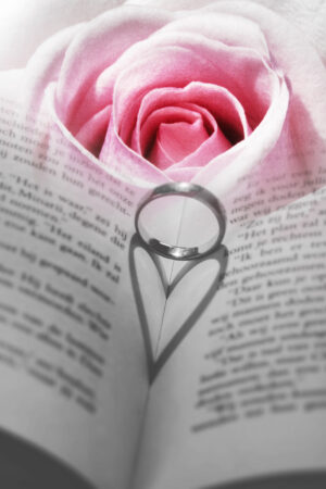lalimadesign_26196066