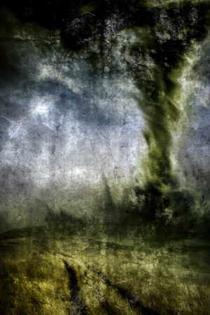 lalimadesign_26196221