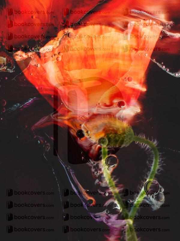lalimadesign_26195623