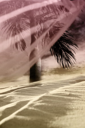 lalimadesign_26195777