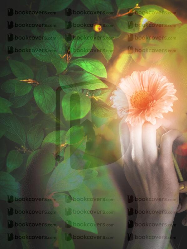 lalimadesign_26195492