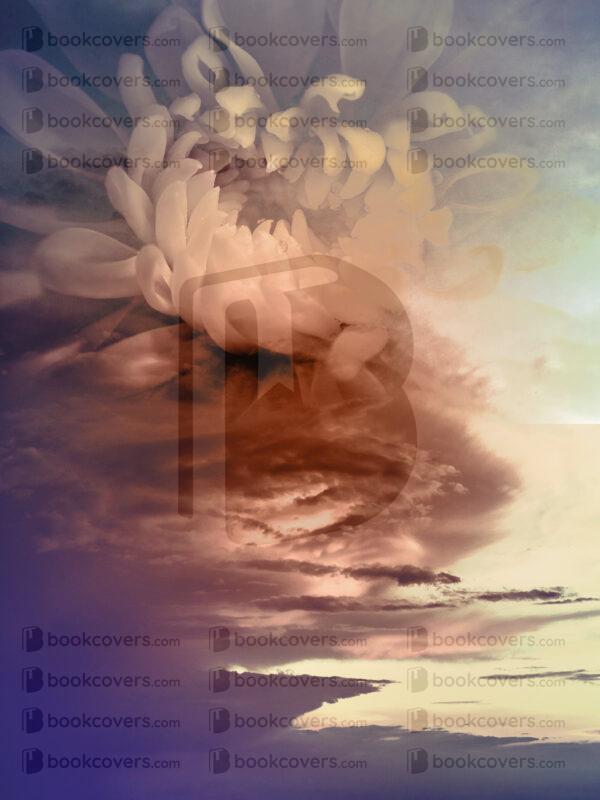 lalimadesign_26195862