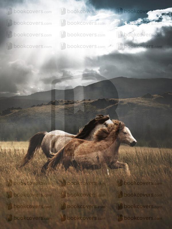 lalimadesign_26195237