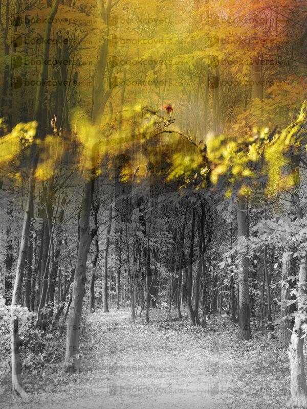 lalimadesign_26196622