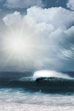 lalimadesign_26196485