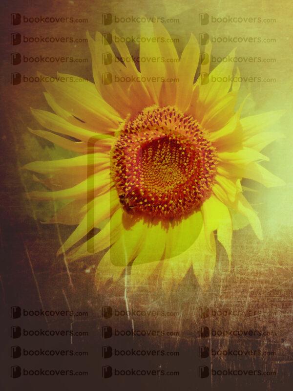 frinaart_26196345
