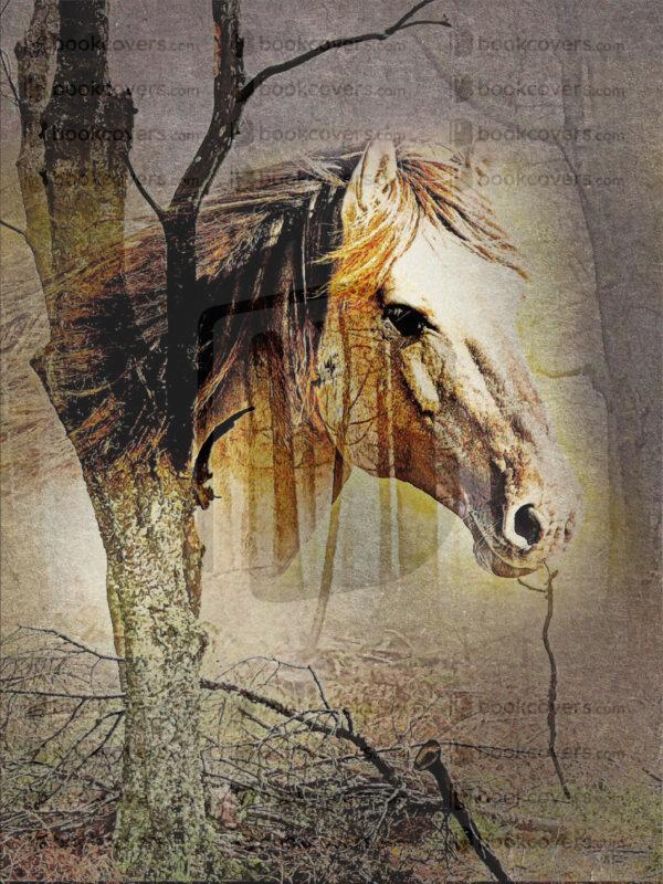 frinaart_26196111