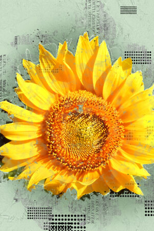 frinaart_26198155