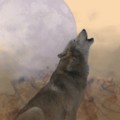 Designer: <a href="https://bookcovers.com/artist/darkdesert/" target="_self">Nola</a>