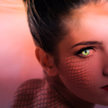 Designer: <a href="https://bookcovers.com/artist/novadesigns/" target="_self">Agnes</a>