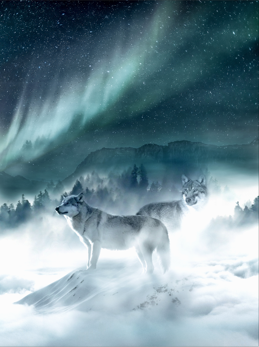 Designer: <a href="https://bookcovers.com/artist/introvertedwife/" target="_self">Sabrina</a>