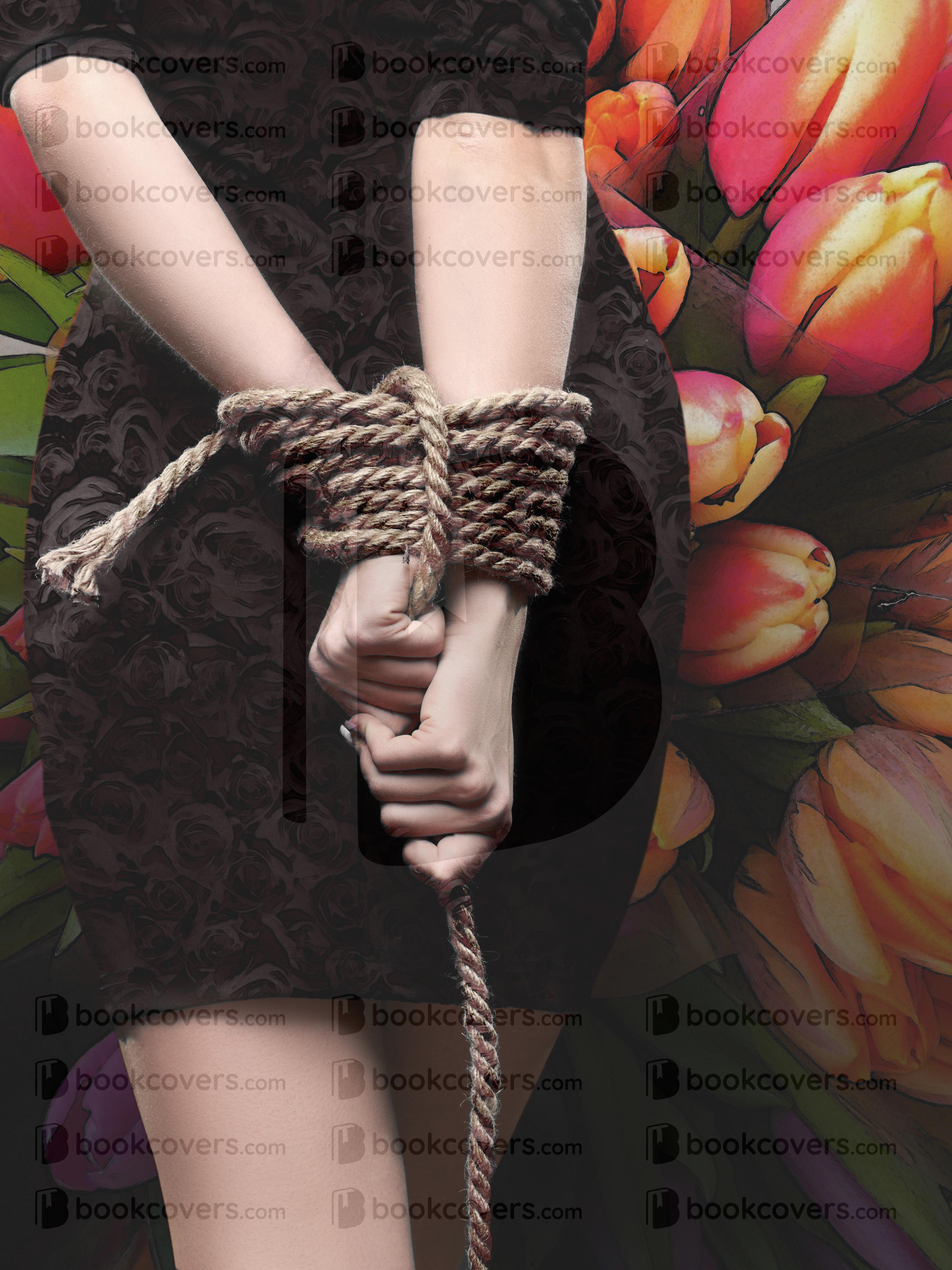 juliesheltonauthor_29346