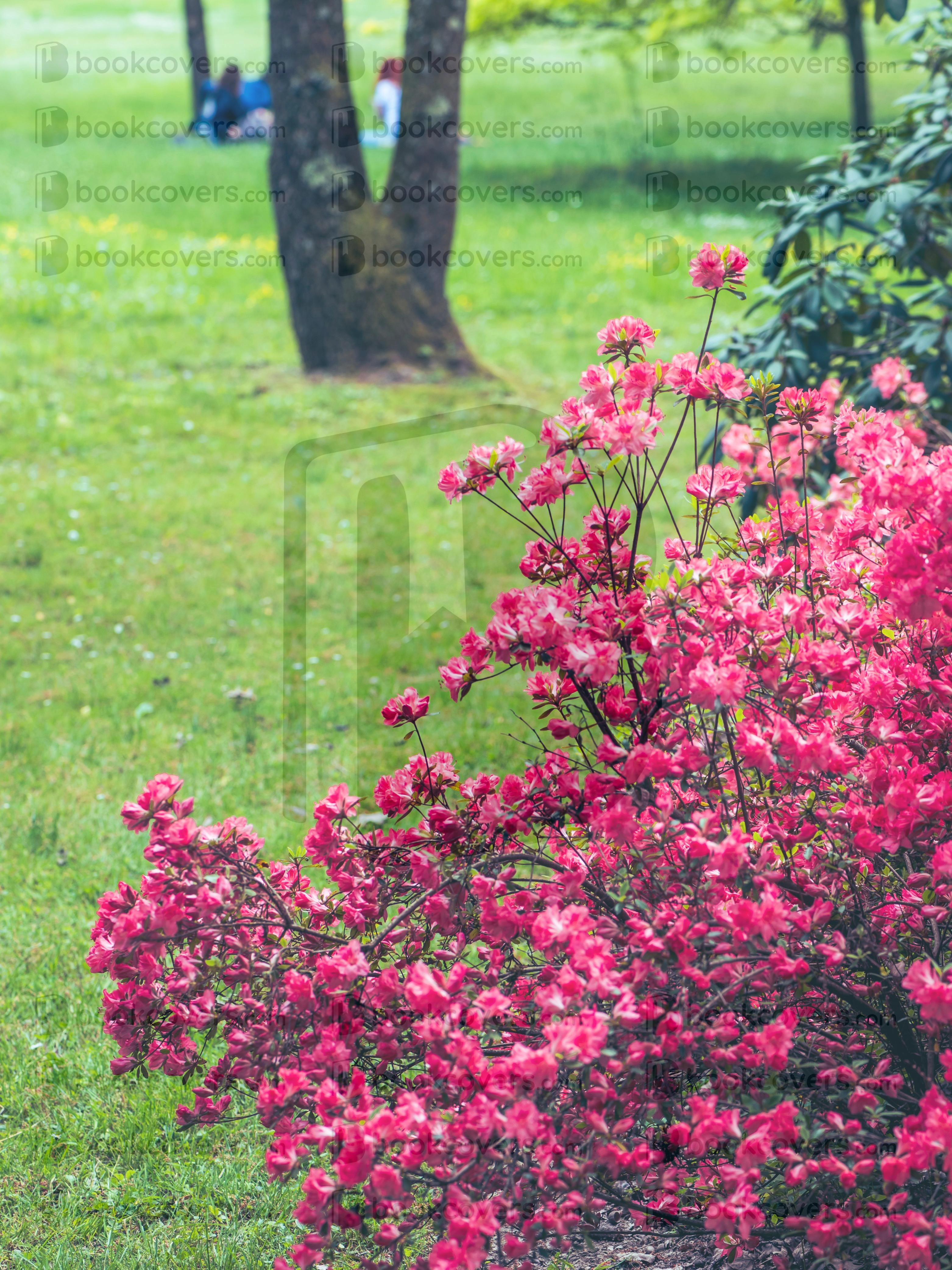 chiaracattaruzzi_26343543