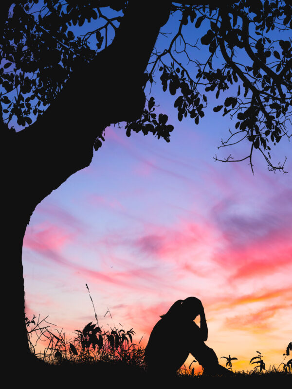 nishagandhi_26343738