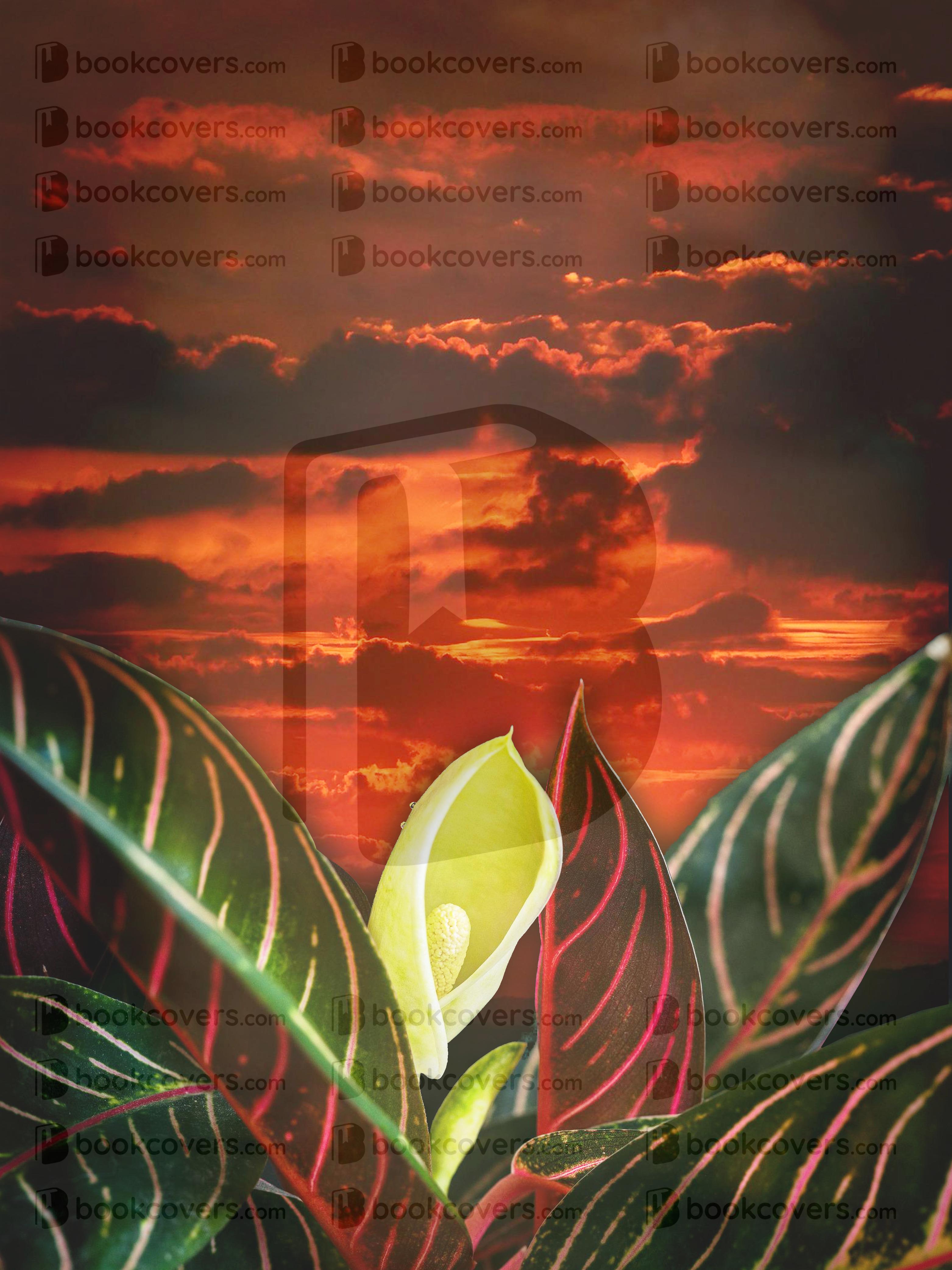 DeniseDoesDesign_26354221